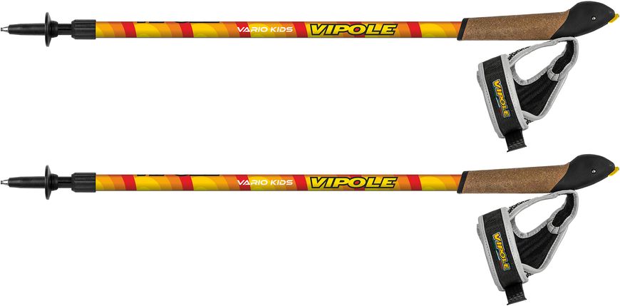 Палки для скандинавской ходьбы Vipole Vario Kids (S20 38)