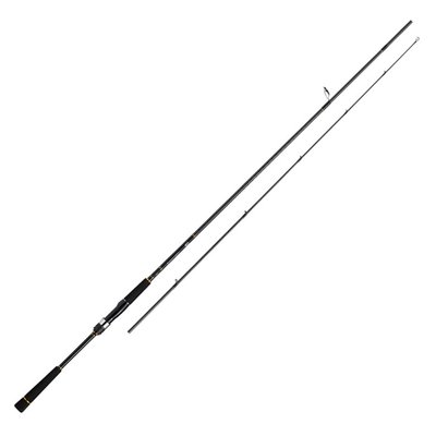 Спінінг Daiwa Seabass Hunter X 106M-R 3.20m 10-50g (05800080)
