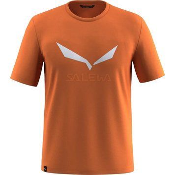 Футболка Salewa Solidlogo Dri-Release