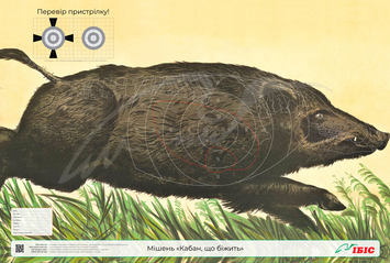 Мішень Кабан, що біжить правостороння, 978*678 мм, картон, 1030049