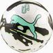 Футбольный мяч Puma Neymar JR Graphic Ball белый, черный, мятный Уни 5 4069161836336 фото 2