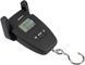 Ваги Brain Fishing Scales 50kg*10g 18588121 фото 4
