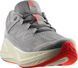 Кроссовки Salomon AERO GLIDE 3 Alloy/Vanilla Ice/Neon Flame 110096 фото 1