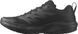 Кросівки Salomon Sense Ride 5 SR Black 14990507 фото 2
