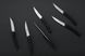 Набір з 6 ножів Thiers з чорною матовою ручкою 2.90.001.90М фото 1