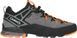 Кросівки AKU Rock DFS II GTX grey/orange 670540 фото 2