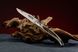 Нож со складным лезвием Laguiole 12 см ручной работы, олень L12BC фото 2