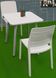 Стілець Evolutif пластиковий Charlotte Deco Chair білий 3076540146581 фото 3