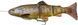 Силикон Savage Gear 4D Line Thru Trout MS 200mm 98.0g #03 Dark Brown Trout 18540459 фото 1