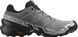 Кросівки Salomon outdoor SPEEDCROSS 6 Quiet Shade/Black/Pearl Blue 110029 фото 2