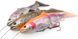 Силикон Savage Gear 4D Line Thru Trout MS 200mm 98.0g #03 Dark Brown Trout 18540459 фото 3