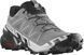 Кросівки Salomon outdoor SPEEDCROSS 6 Quiet Shade/Black/Pearl Blue 110029 фото 1