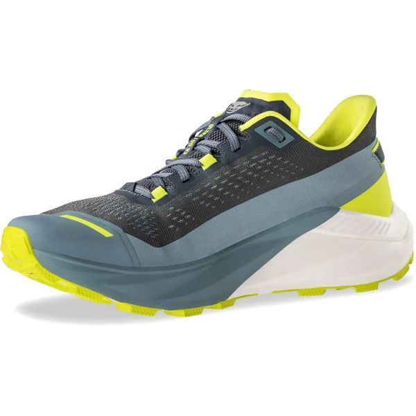 Кроссовки ч Dynafit ULTRA 100 V3 64117 3161 - 42.5 - зеленый