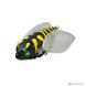 Воблер Daiwa Drown Cicada Rev. 41F 41mm 4.6g #Oniyanma (07432838) 07432838 фото 5